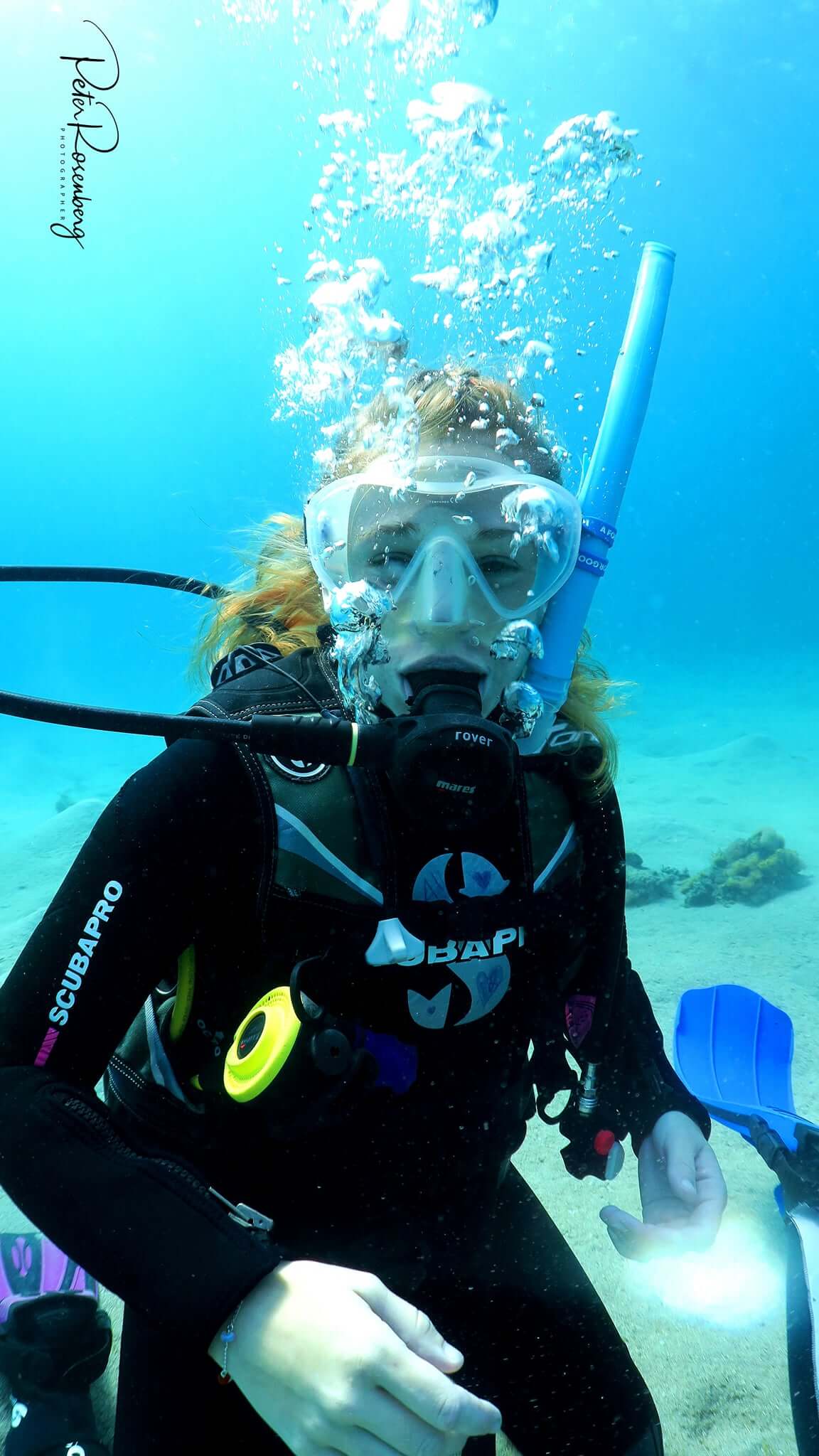 DIVING EQUIPMENT RENTAL פלמה דייוינג ריזורט אילת בע''מ