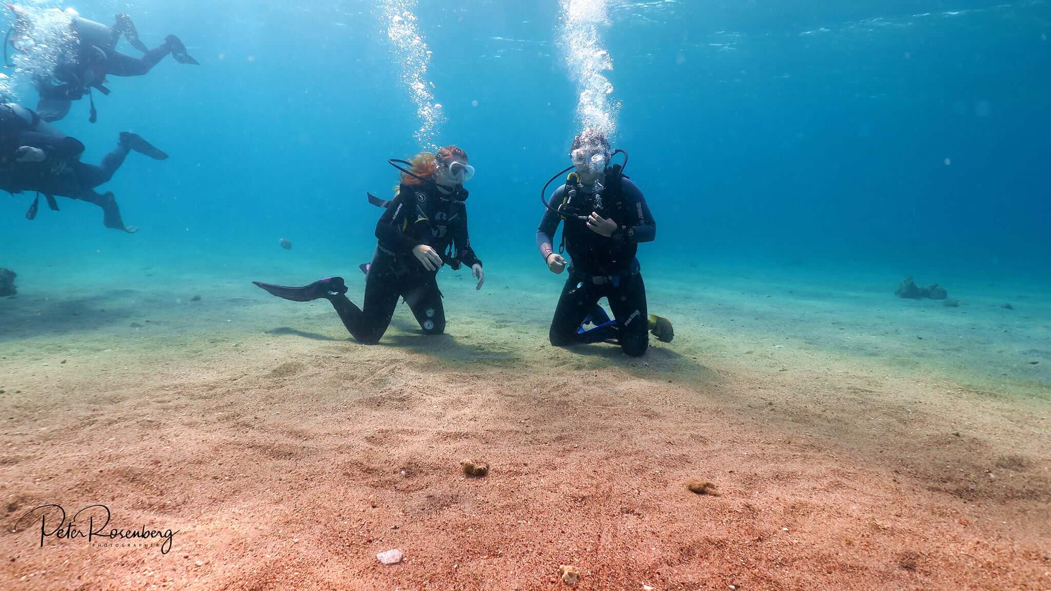 DIVING EQUIPMENT RENTAL פלמה דייוינג ריזורט אילת בע''מ