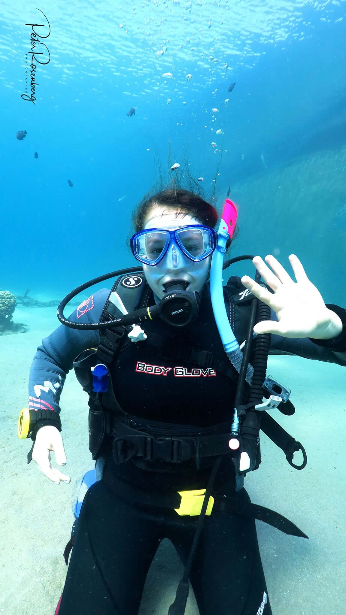 DIVING EQUIPMENT RENTAL פלמה דייוינג ריזורט אילת בע''מ